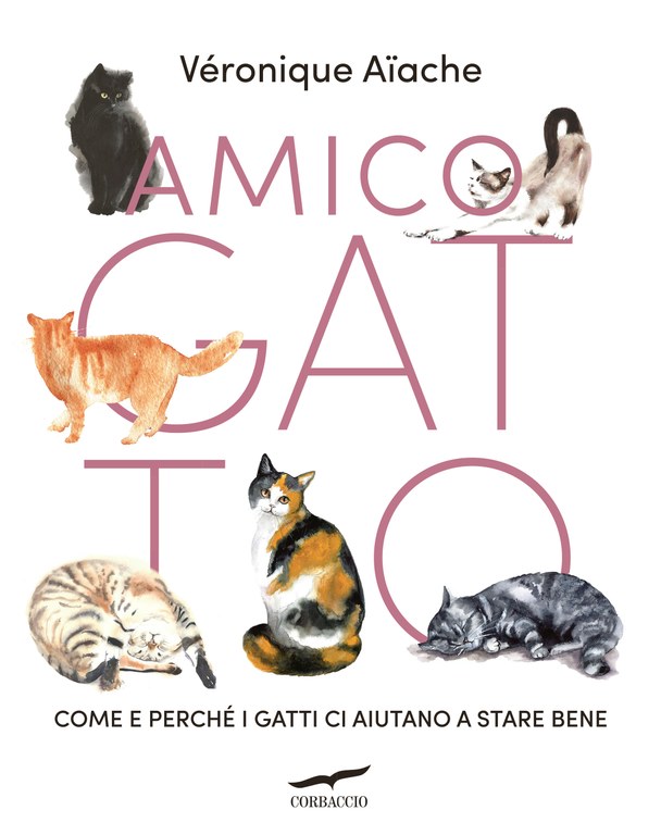 Amico gatto