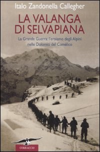 La valanga di Selvapiana