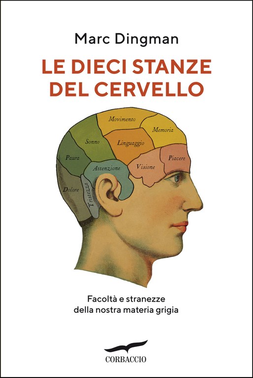 Le dieci stanze del cervello